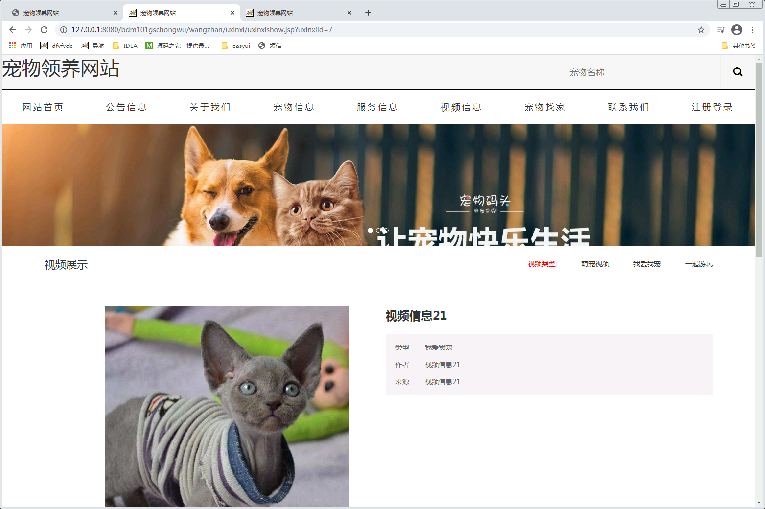 基于SSM的宠物领养网站